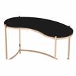 Bowery Hill Glass Gold Console Table Rectangular Unassembled
