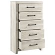 Bowery Hill Modern 5-Drawer Engineered Wood Chest in Wispy Whitewash