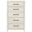 Bowery Hill Modern 5-Drawer Engineered Wood Chest in Wispy Whitewash
