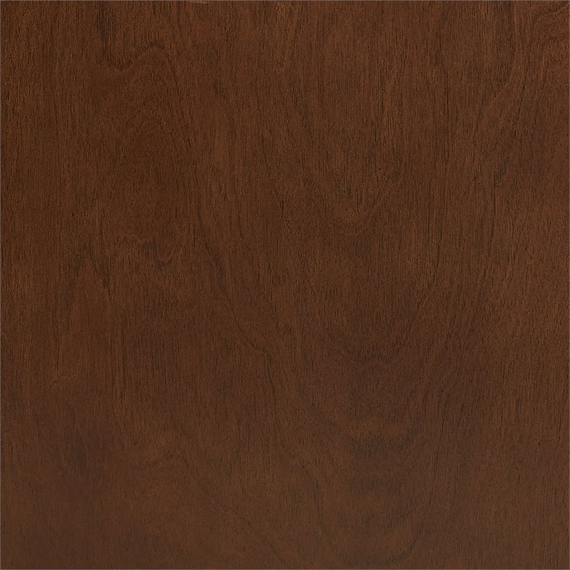Bowery Hill Modern Engineered Wood Record Player Stand in Mahogany