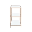 Bowery Hill Contemporary Metal 2-Shelf Console Table in Champagne Finish