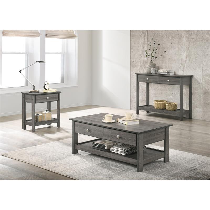 Bowery Hill Transitional Wood 2-Drawer Console Table in Gray