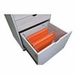 Bowery Hill Transitional Wood 3-Drawer File Cabinet in W Finish