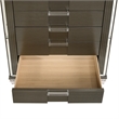 Bowery Hill Transitional Wood Brown Finish 5-Drawer Flip-Top Chest