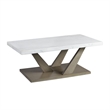 Bowery Hill Contemporary Marble 2PC Occasional Set in Gray Finish