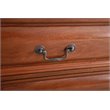 Bowery Hill Engineered Wood Transitional 10 Drawer Dresser in Oak