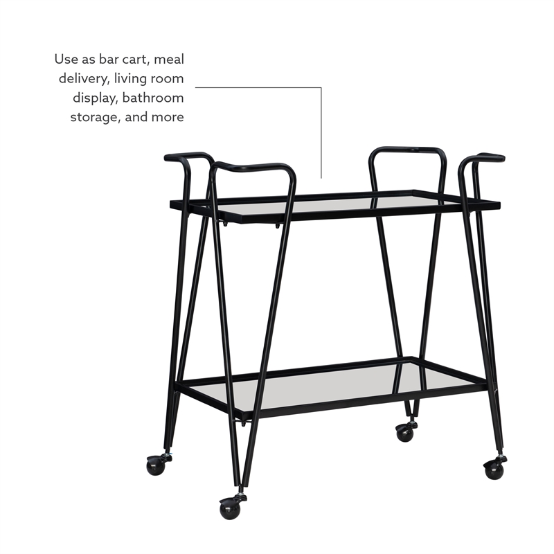 Bowery Hill Metal and Mirorred Mid Century Bar Cart in Black
