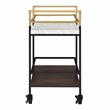 Bowery Hill 2-Tier Transitional Metal Serving Cart in Multi-Color