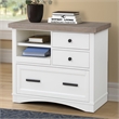 Bowery Hill Traditional Wood Functional File with Power Center in White