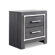 Bowery Hill Contemporary 2 Drawer Nightstand with USB in Gray