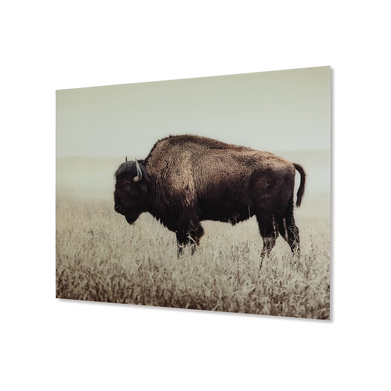 Bowery Hill Contemporary Wall Art of a Lone Bison in Sepia Finish