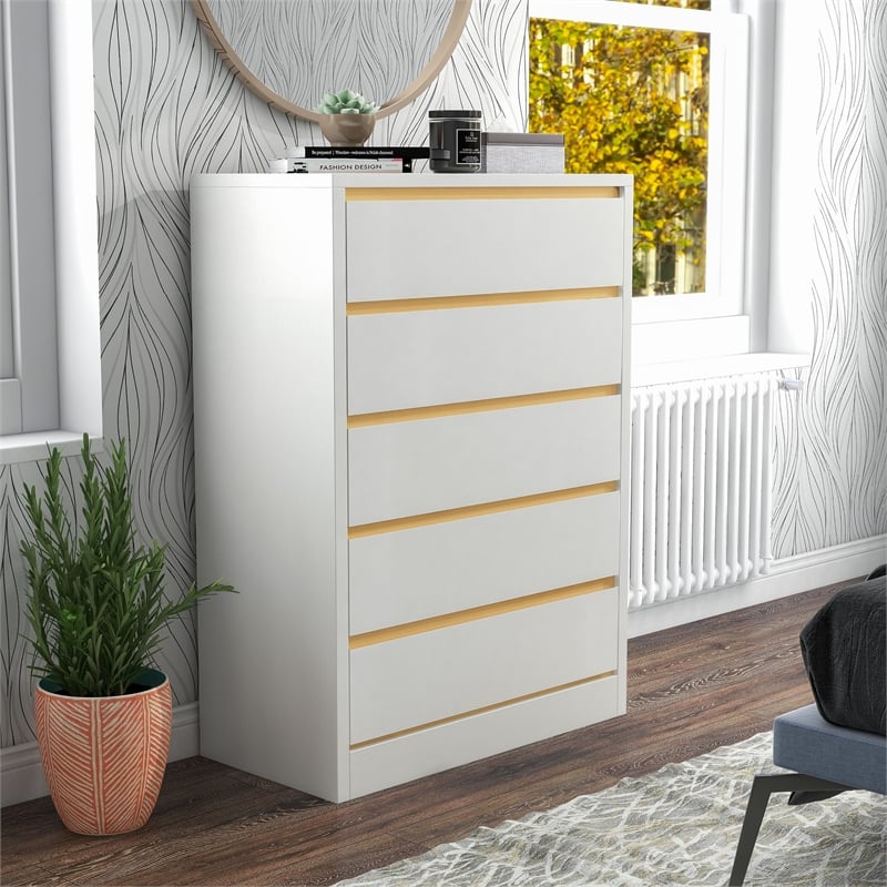 Bowery Hill Contemporary Modern Wood 5-Drawer Chest in White