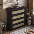 Bowery Hill Transitional Wood 4-Drawer Chest in Espresso Finish