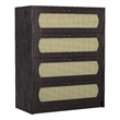 Bowery Hill Transitional Wood 4-Drawer Chest in Espresso Finish