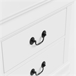 Bowery Hill Transitional Solid Wood 5-Drawer Chest in White Finish