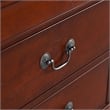 Bowery Hill Transitional Solid Wood 5-Drawer Chest in Cherry