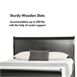 Bowery Hill Transitional Solid Wood Panel Queen Bed in Black
