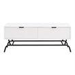 Bowery Hill Wood Storage 2-Drawer Coffee Table in White Pure