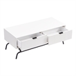 Bowery Hill Wood Storage 2-Drawer Coffee Table in White Pure