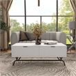 Bowery Hill Wood Storage 2-Drawer Coffee Table in White Pure