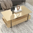 Bowery Hill Contemporary Wood Multi-Storage Coffee Table in Light Maple