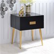 Bowery Hill Contemporary Rectangular Wooden End Table in Black and Gold