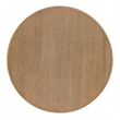 Bowery Hill Contemporary Wood Round Counter Stool in Washed Gray