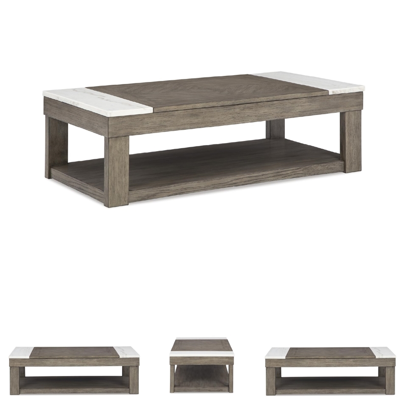 Bowery Hill Modern / Contemporary Brown Lift-Top Coffee Table