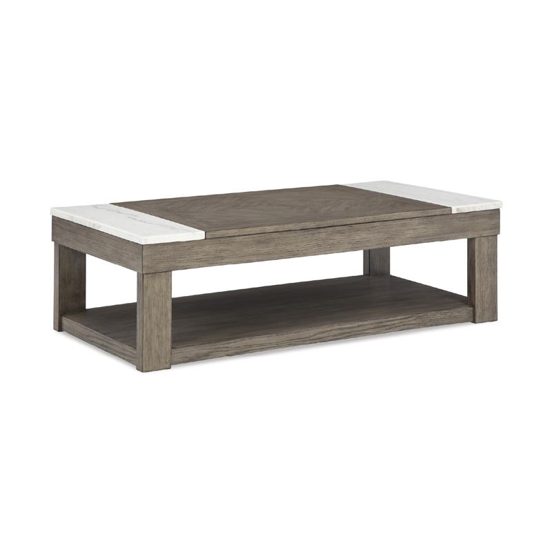 Bowery Hill Modern / Contemporary Brown Lift-Top Coffee Table