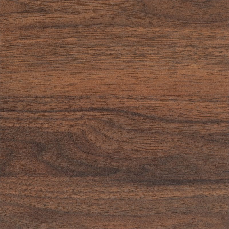 Bowery Hill Walnut Brown Finished Wood 2-Door Shoe Storage Cabinet