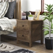 Bowery Hill Rustic Wood 2-Drawer Nightstand in Distressed Walnut