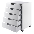 Bowery Hill 5-Drawer Transitional Wood Storage Cabinet in White
