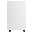 Bowery Hill 5-Drawer Transitional Wood Storage Cabinet in White