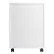 Bowery Hill 5-Drawer Transitional Wood Storage Cabinet in White