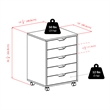 Bowery Hill 5-Drawer Transitional Wood Storage Cabinet in White