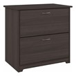 Bowery Hill 2 Drawer Lateral File Cabinet in Heather Gray - Engineered Wood