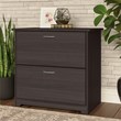 Bowery Hill 2 Drawer Lateral File Cabinet in Heather Gray - Engineered Wood