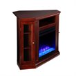 Bowery Hill Contemporary Color Changing Electric Fireplace in Cherry