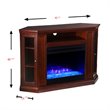 Bowery Hill Contemporary Color Changing Electric Fireplace in Cherry