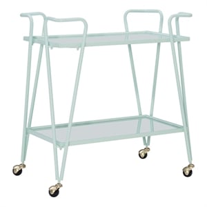 Bowery Hill Metal and Mirorred Mid Century Bar Cart in Mint Green
