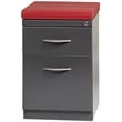 Bowery Hill Mobile Pedestal File 2-Drawer Filing Cabinet Box/File in Charcoal