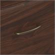 Bowery Hill 2 Drawer Lateral File Cabinet in Modern Walnut - Engineered Wood