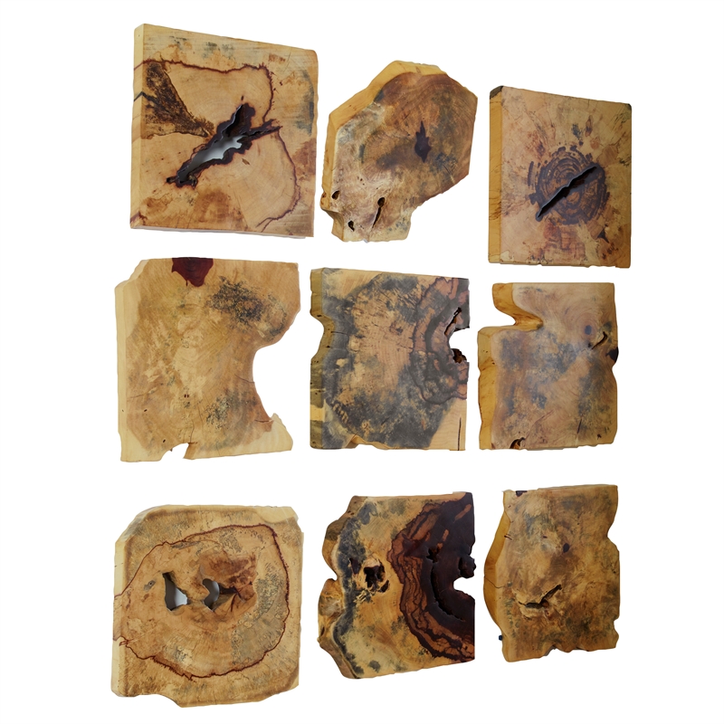 Bowery Hill Contemporary Wood Wall Decor In Natural Set of 9