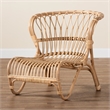 Bowery Hill Modern Bohemian Natural Brown Rattan Accent Chair