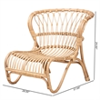 Bowery Hill Modern Bohemian Natural Brown Rattan Accent Chair