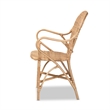 Bowery Hill Contemporary Brown Finished Bohemian Rattan Dining Chair