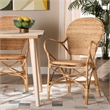 Bowery Hill Contemporary Brown Finished Bohemian Rattan Dining Chair