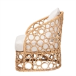Bowery Hill Contemporary Bohemian Light Honey Rattan Accent Chair
