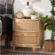 Bowery Hill Modern Bohemian Natural Brown Rattan 2-Drawer Nightstand