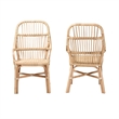Bowery Hill Modern Bohemian Natural Brown Rattan Dining Chair